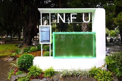 虎科大啟用雲嘉首座校園微藻固碳系統　永續校園行動再升級